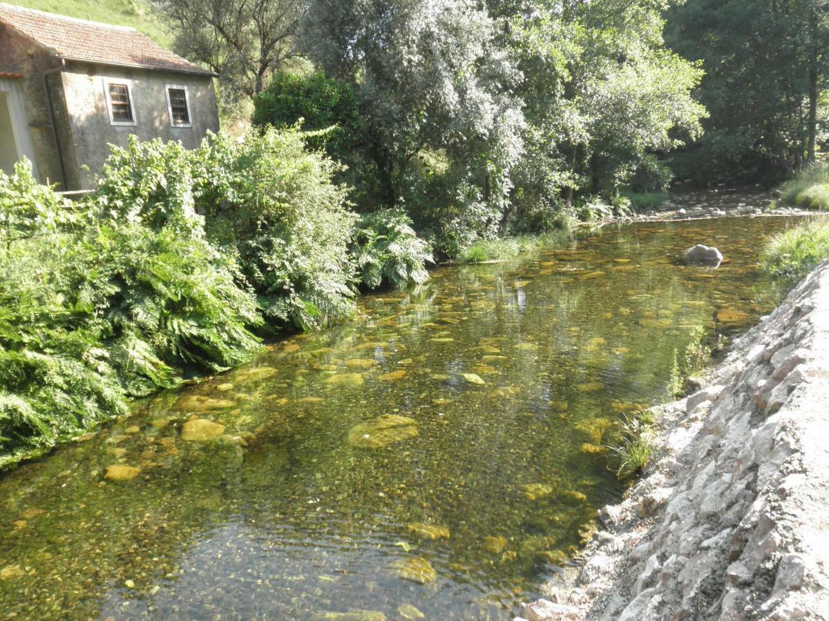 Casa Velha Villa Figueiro Dos Vinhos Dış mekan fotoğraf