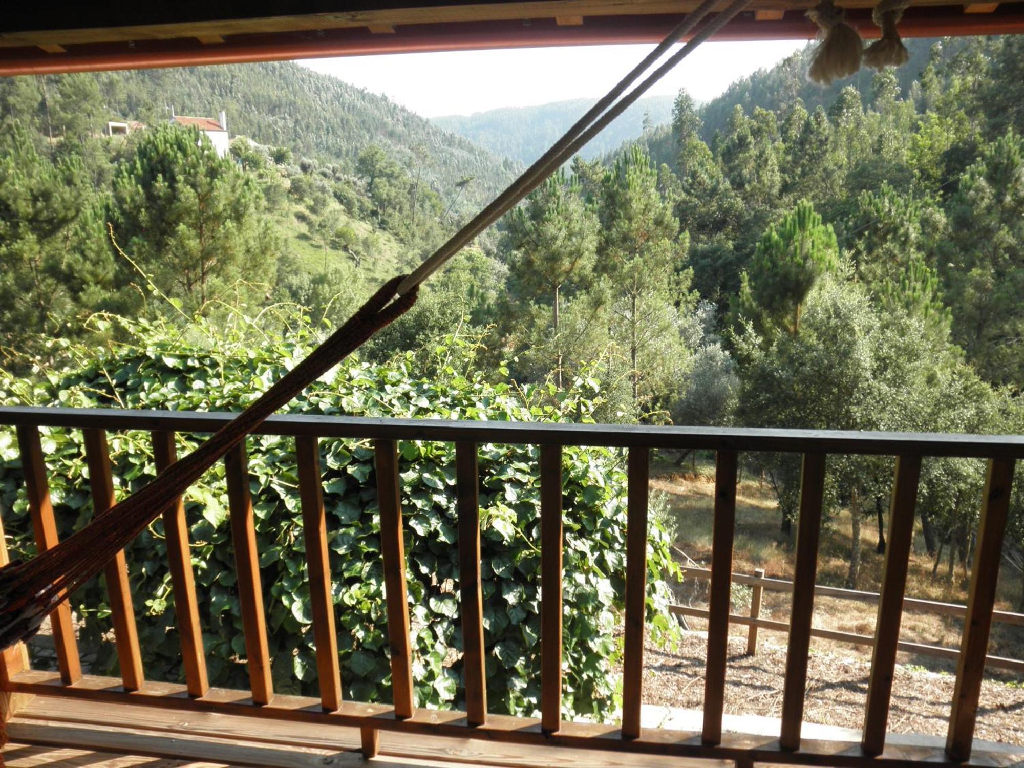 Casa Velha Villa Figueiro Dos Vinhos Dış mekan fotoğraf
