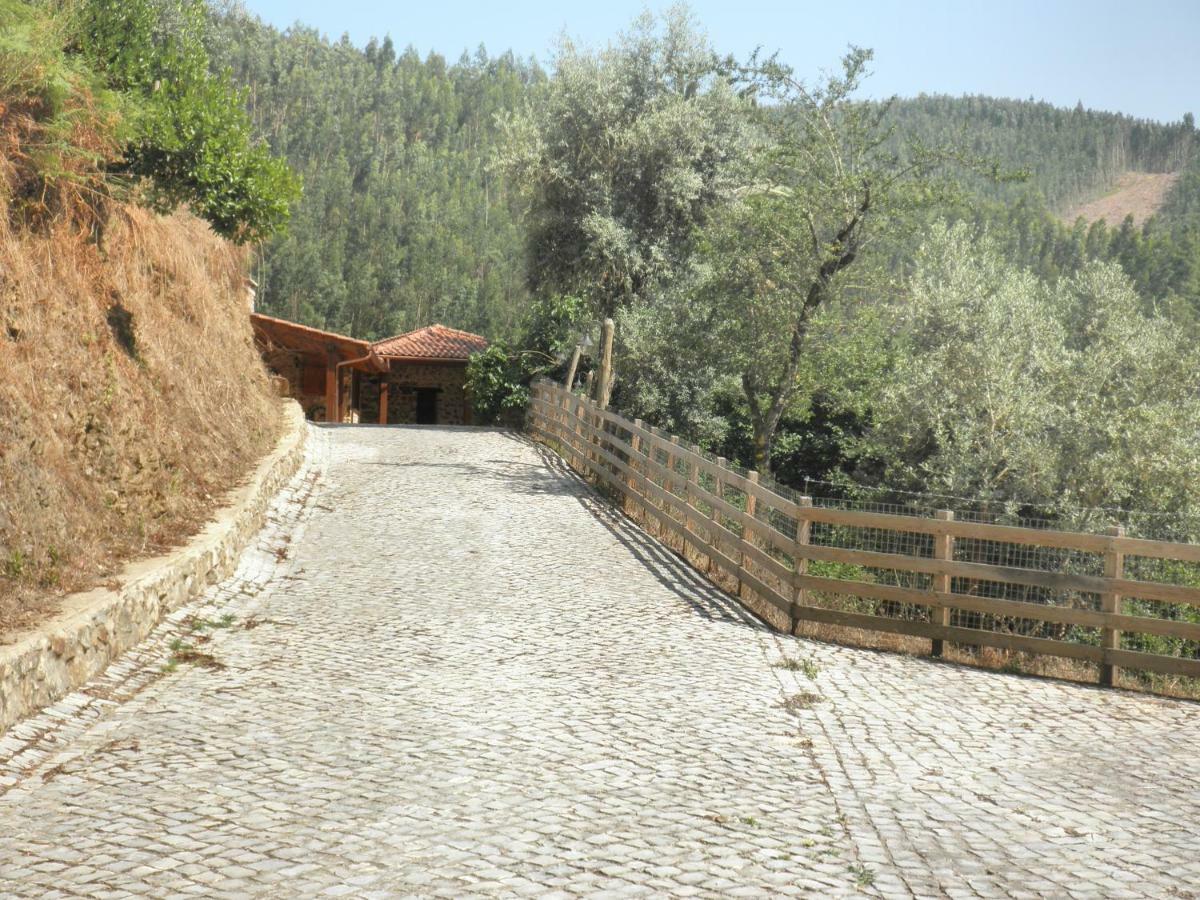 Casa Velha Villa Figueiro Dos Vinhos Dış mekan fotoğraf